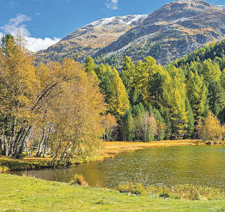 Peter Gysin aus Bennwil geniesst seine Ferien im Engadin in schönsten Farben.