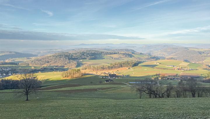 Dieses Foto wurde von Benjamin Thommen aus Bennwil im Gebiet Sagwald am Gemeindebann zu Diegten mit Blick in Richtung Norden aufgenommen.