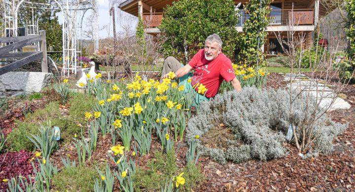 Gärtnermeister Kurt Gensetter in seinem Blumenparadies. Bild Elmar Gächter