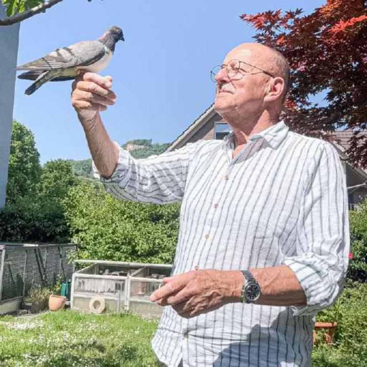 Peter Berger ist seit seiner Kindheit von den Tauben 
fasziniert.
Bild Ruedi Epple