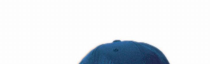 «die Radicant ganz radikal.»