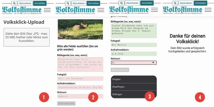 Ziehen Sie das Foto in das Upload-Feld, füllen Sie das Formular aus und reichen Sie den «Volksklick» ein. Screenshots vs