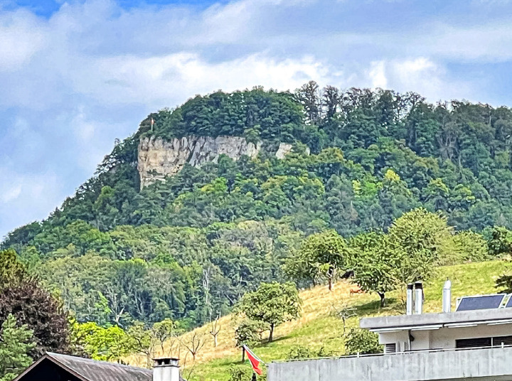 Der Sissacher Hausberg vor und nach dem Holzschlag neben der Fluhkanzel. Rund 60 Buchen sind gefällt worden. Das Gebiet wird mit «klimafitten» Baumarten aufgeforstet.Bilder zvg / ch.