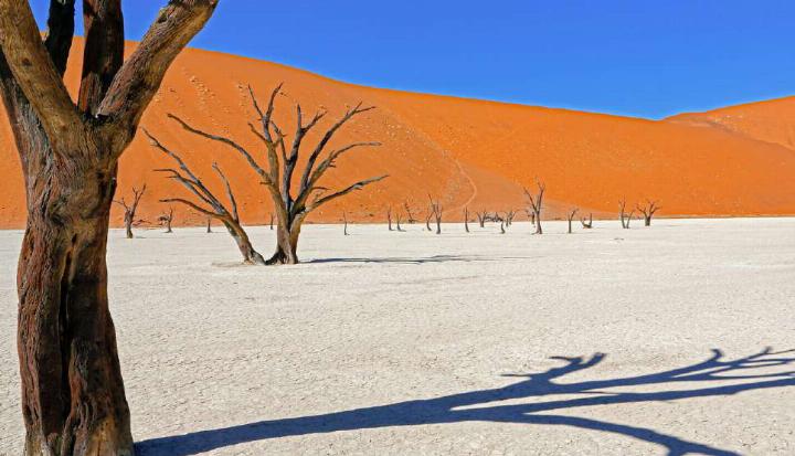 Die Wüste Namibias ist nur ein Teil des faszinierenden Landes. Bild zvg