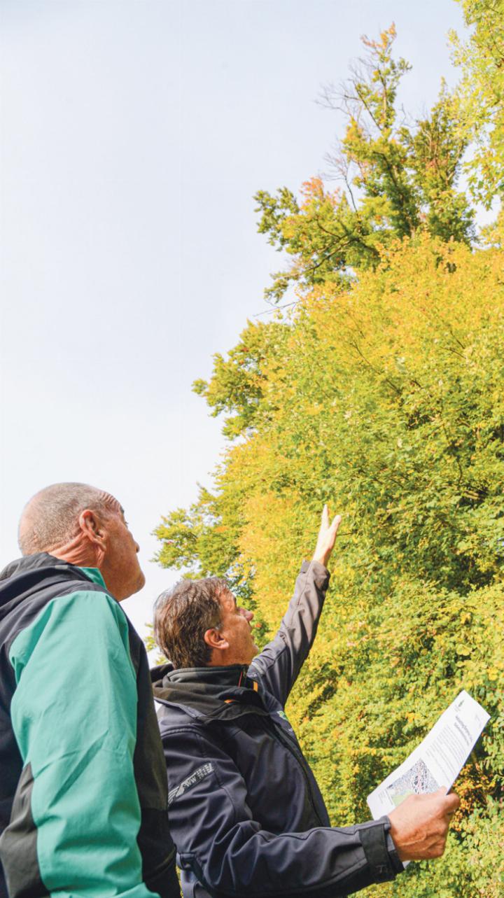 Der Sissacher Waldchef Niggi Bärtschi (links) und Revierförster Thomas Tanner begutachten das zu räumende Waldstück. Bild Christian Horisberger Der Sissacher Waldchef Niggi Bärtschi (links) und Revierförster Thomas Tanner begutachten das zu räumende Waldstück. Bild Christian Horisberger