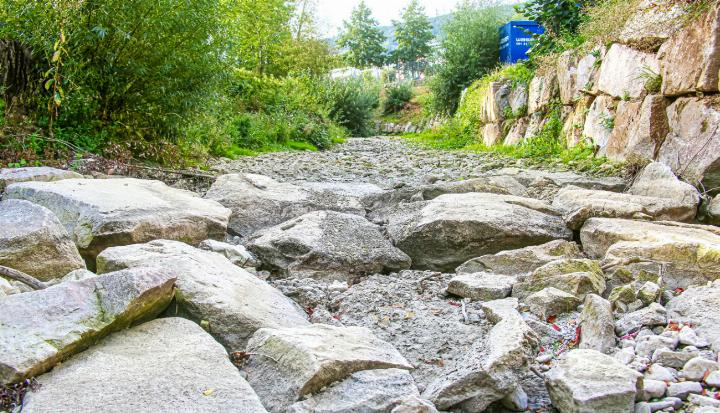 Trocknen die Bäche – wie hier die Ergolz bei Sissach – aus, gibt es für die Fischer nichts mehr zu holen. Der Pachtpreis für das Gewässer sinkt daher. Bilder Archiv vs / David Thommen