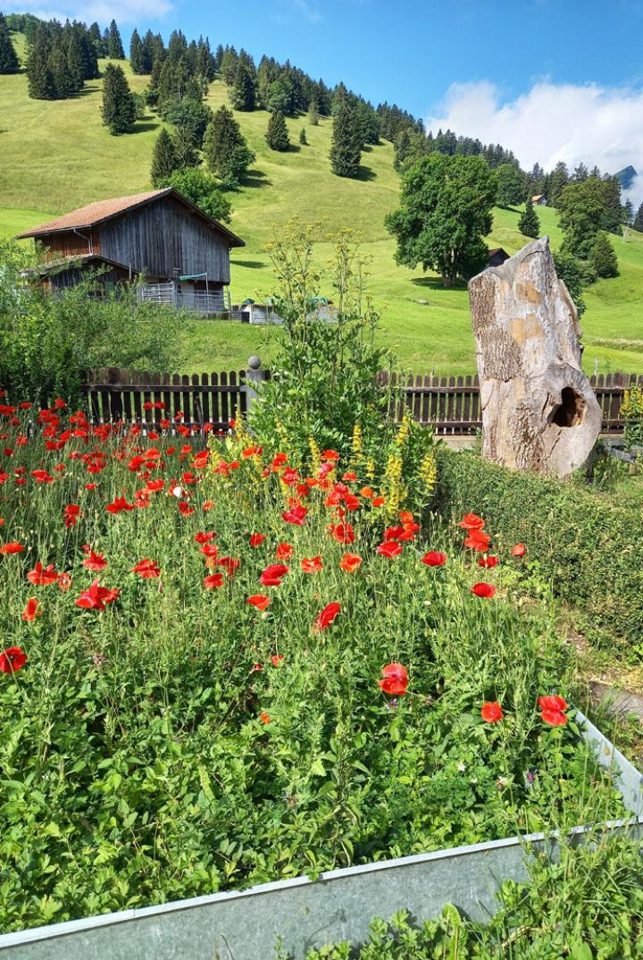 «Ein paar Tage in meiner zweiten Heimat ‹uf em Berg›», schreibt Konrad Häfliger aus Wenslingen zu seinem Foto.