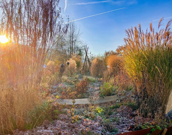 Das Leben zieht sich im Winter unter die Erde zurück. Bild Meret Franke