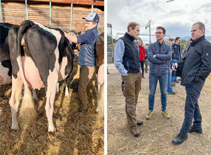 Die Kühe werden von Fabian Dettwiler vor der Präsentation auf «Hochglanz» gebracht (links). Nicht entgehen lässt sich die Viehschau zudem Regierungsrat Thomi Jourdan (Bild rechts; Mitte). Bilder André Frauchiger