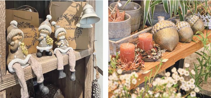 Bei Blumen Pasadena finden Sie ein vielseitiges Angebot an Arrangements und Dekorationsartikeln.
Bilder zvg