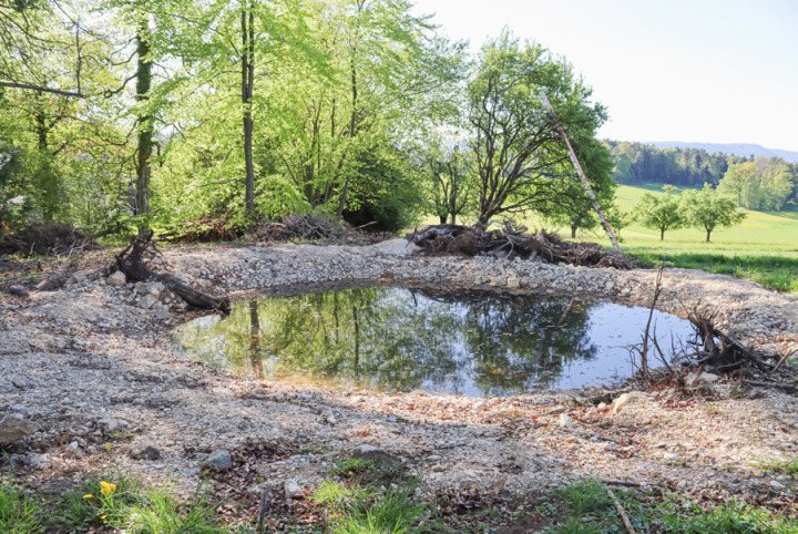 Die Einweihung aller sechs Gewässer fand beim Weiher vor dem Restaurant Abendsmatt statt. Bilder Brigitt Buser