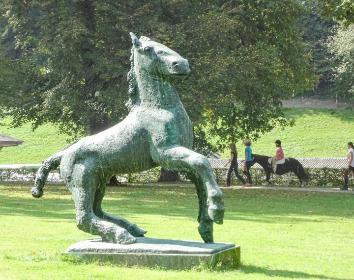 Puledro fühlt sich sichtlich wohl im Ebenrain-Park in .Bild Martin Stohler