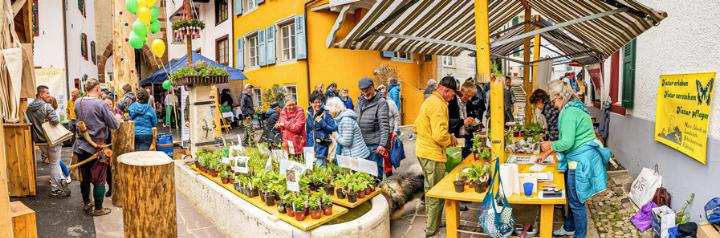 Der Wildpflanzenmarkt befindet sich beim oberen Tor.
Bild zvg