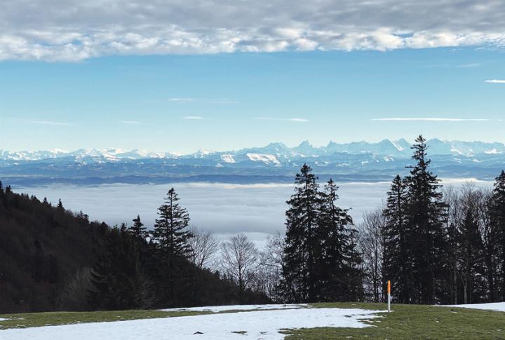 Das Panorama über dem Nebelmeer hat Heidy Gysin aus Langenbruck auf dem Weissenstein festgehalten: «Es ist überwältigend.»