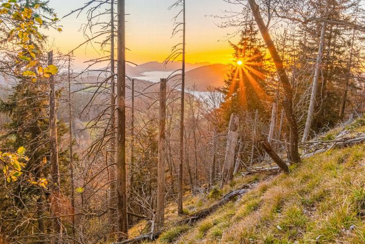 Einen wunderschönen Sonnenuntergang konnte Jan Furler aus Bubendorf in der Region der Bölchenfluh fotografieren.