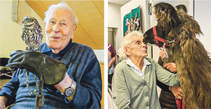 Steinkauz Mimi und Lama Caramello bringen Freude und auch Entspannung ins Zentrum für Pfl ege und Betreuung Mülimatt in Sissach. Bild zvg