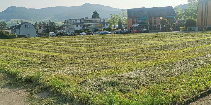 Das Bauland auf der Neumattparzelle bleibt bis auf Weiteres ungenutzt.
Bild svr.