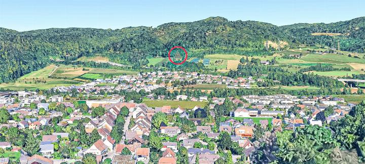 Eine frei stehende Fichte an der nördlichen Talseite über der Autobahn soll zum neuen Itinger Weihnachtsbaum werden. Hier der Blick vom Standort der «alten» Weihnachtstanne beim Schützenhaus. Bildmontage Google Earth / vs