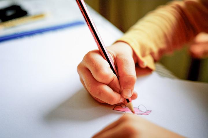 Schüler sollen vor ungeeigneten Lehrern geschützt werden. Symbolbild zvg