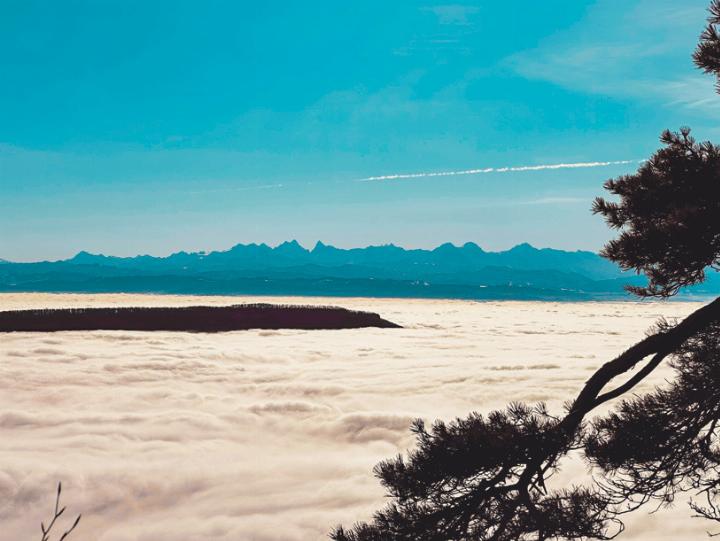 «Mittelland bedeckt, aber freie Sicht auf die Alpen», schreibt Philipp Schweizer aus Arboldswil zu seinem Foto, aufgenommen vom Passwang.