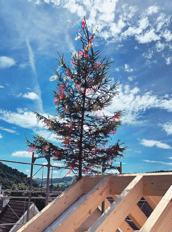 Nachhaltig und umweltbewusst: Bauen mit Holz. Bild zvg