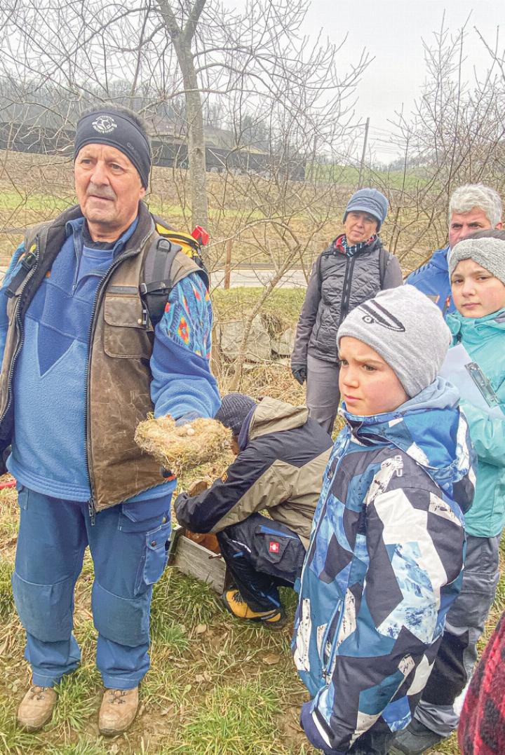 In zwei Nistkästen wurden bei der Kontrolle Eier gefunden. Bild zvg / Monica Handschin