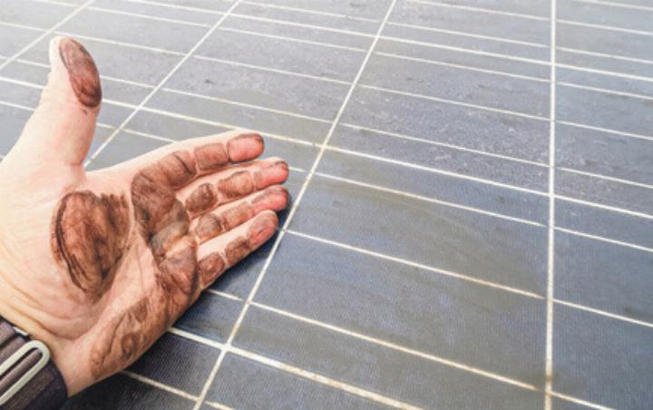 Auf einer PV-Anlage kommt es zu verschiedenen Verunreinigungen. Bild zvg