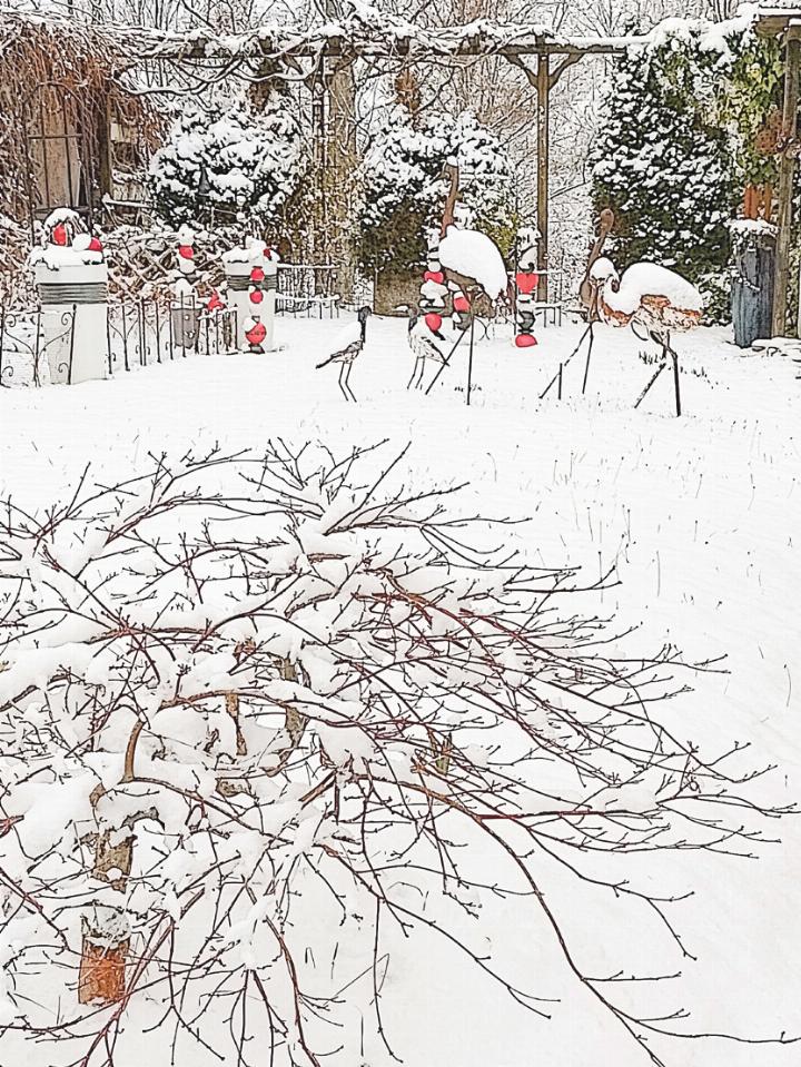 So schön ist der Winter in Waldenburg am Valentinstag, schreibt uns Rosmarie Tschudin aus Liestal.