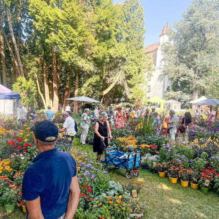 Mehr als 90 Aussteller präsentieren ihre Waren – von Pflanzen über Accessoires und Gartenmöbel. Bild zvg