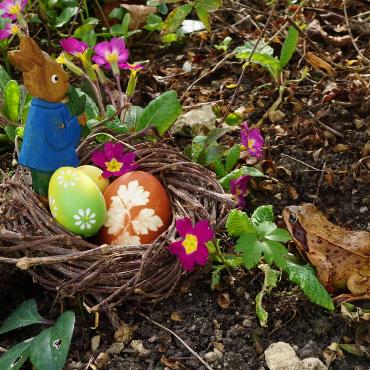 In Zeglingen ist man sich nicht mehr sicher, ob der Osterhase die Eier bringt – oder der Grasfrosch, schreibt Loretta Grieder.