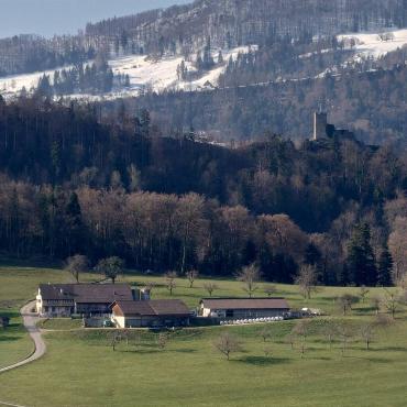 Vorne Frühling, hinten Winter: Den Hof Futtersteig in Oberdorf mit Ruine Waldenburg im Hintergrund hat Manuel Friedli aus Thürnen abgelichtet.