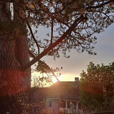 Nach einem trüben Tag hat sich die Sonne noch kurz auf dem Gelterkinder Kirchhof gezeigt, gesehen von Fritz Häuselmann in Gelterkinden.