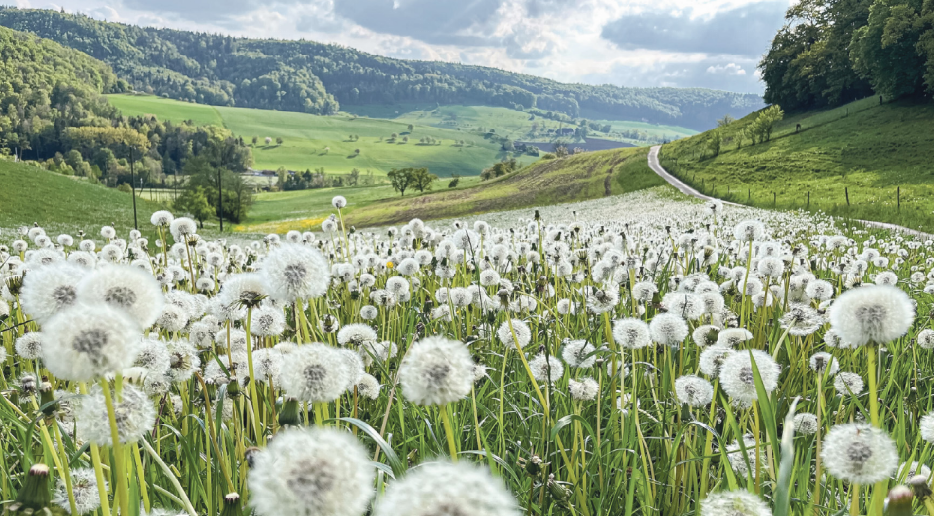 Vom Blühen zum Fliegen - Das Bild wird blockiert. – Möglicherweise durch einen aktiven Adblocker.
