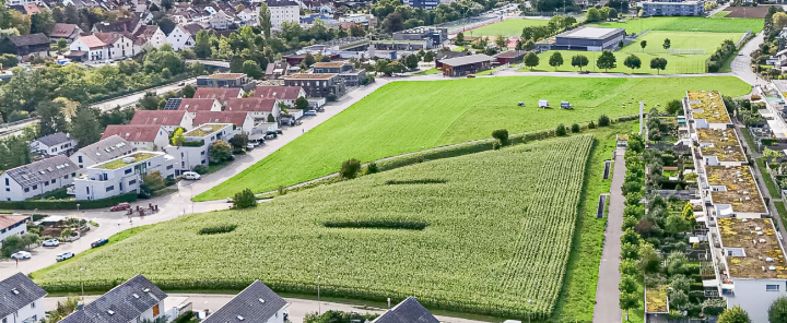 Bild zvg / Avadis