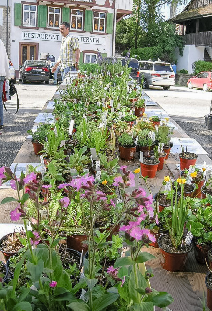 In der Sissacher 
Begegnungszone kann man verschiedene Kräuter und Stauden für den 
heimischen Garten oder Balkon kaufen.
Bild zvg