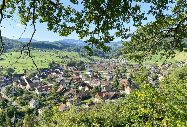 feiert sein 800-Jahre-Jubiläum am Banntag: Blick von den Reben auf das Dorf in Richtung 
Reigoldswil.
Bilder Willi Wenger