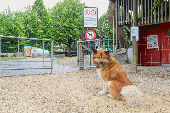 Ich muss draussen bleiben: Hunde sind auf Spielplätzen (im Bild der Spielplatz Allmend in Sissach) und anderen öffentlichen Anlagen mehr und mehr unerwünscht. Bild Pascal Kamber