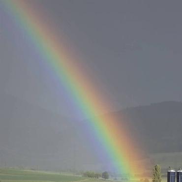 Diesen wunderschönen Regenbogen hat Andrea Müller aus Gelterkinden oberhalb von Wenslingen aufgenommen.