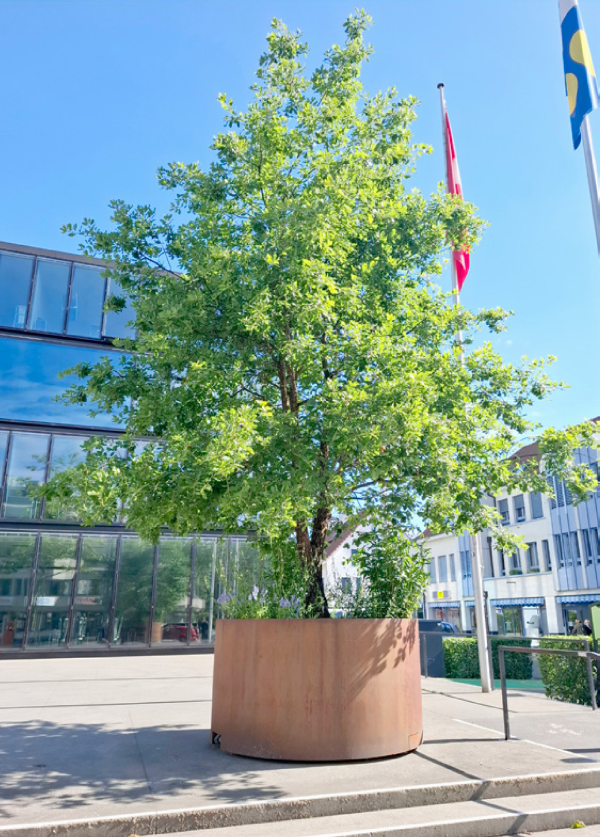 Mobiler Baum in der Begegnungszone - Das Bild wird blockiert. – Möglicherweise durch einen aktiven Adblocker.