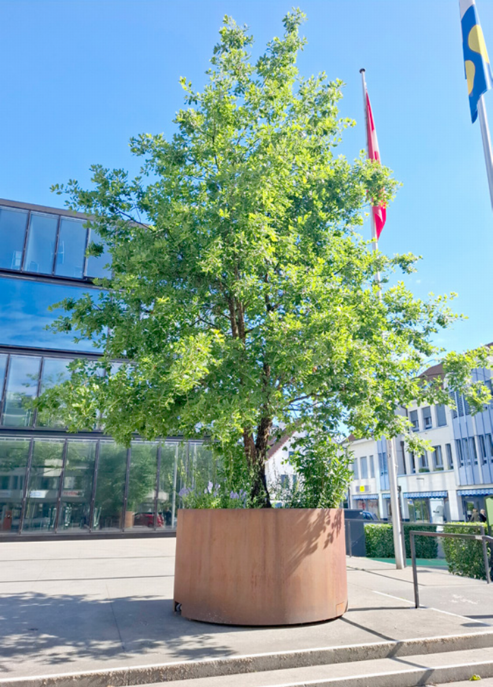 Mobile Green, Reinach