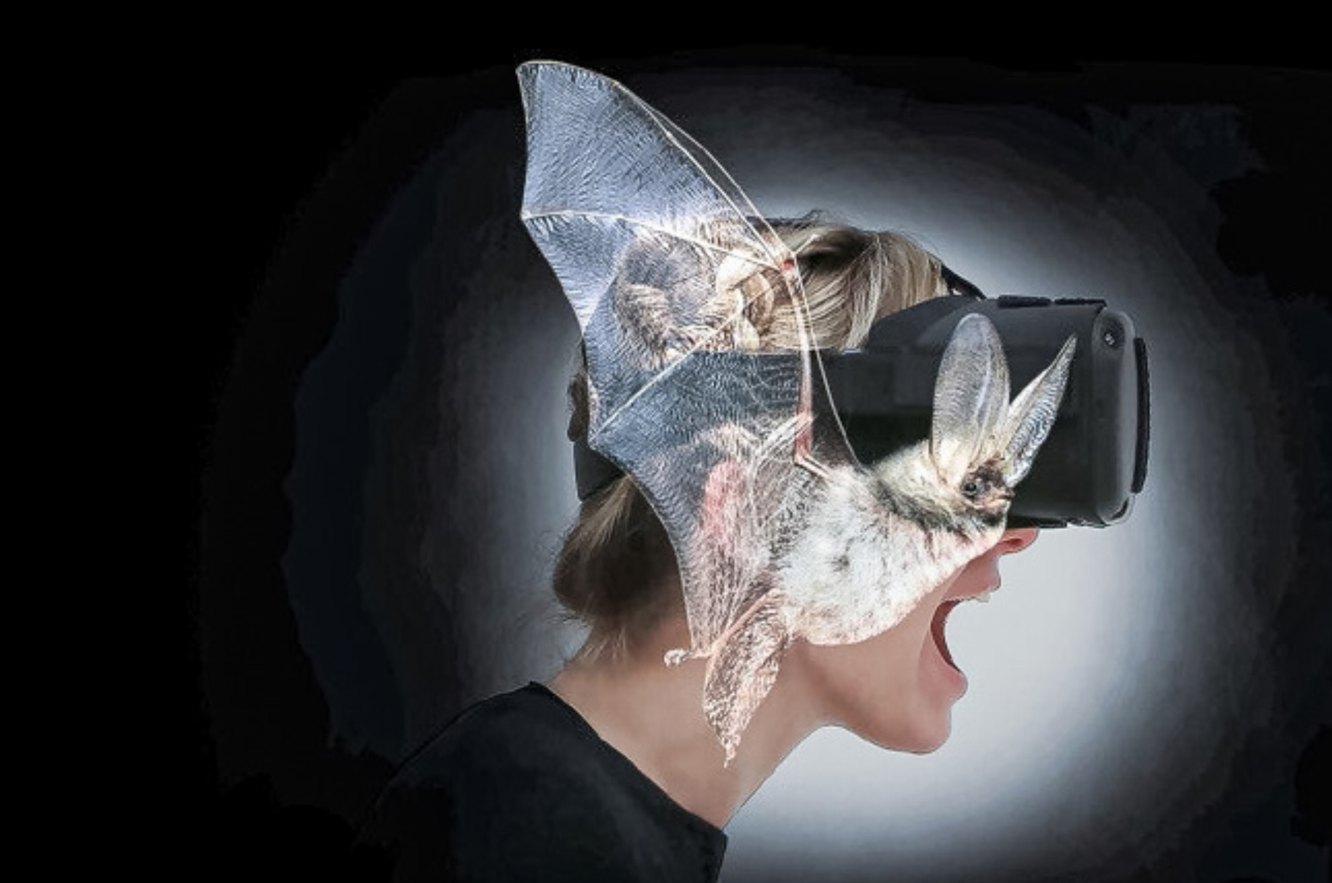 Das Weltbild einer Fledermaus - Das Bild wird blockiert. – Möglicherweise durch einen aktiven Adblocker.