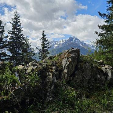 Dieses Postkarten-taugliche Foto hat Peter Gysin aus Bennwil bei einer Wanderung oberhalb von Ftan im Unterengadin gemacht.