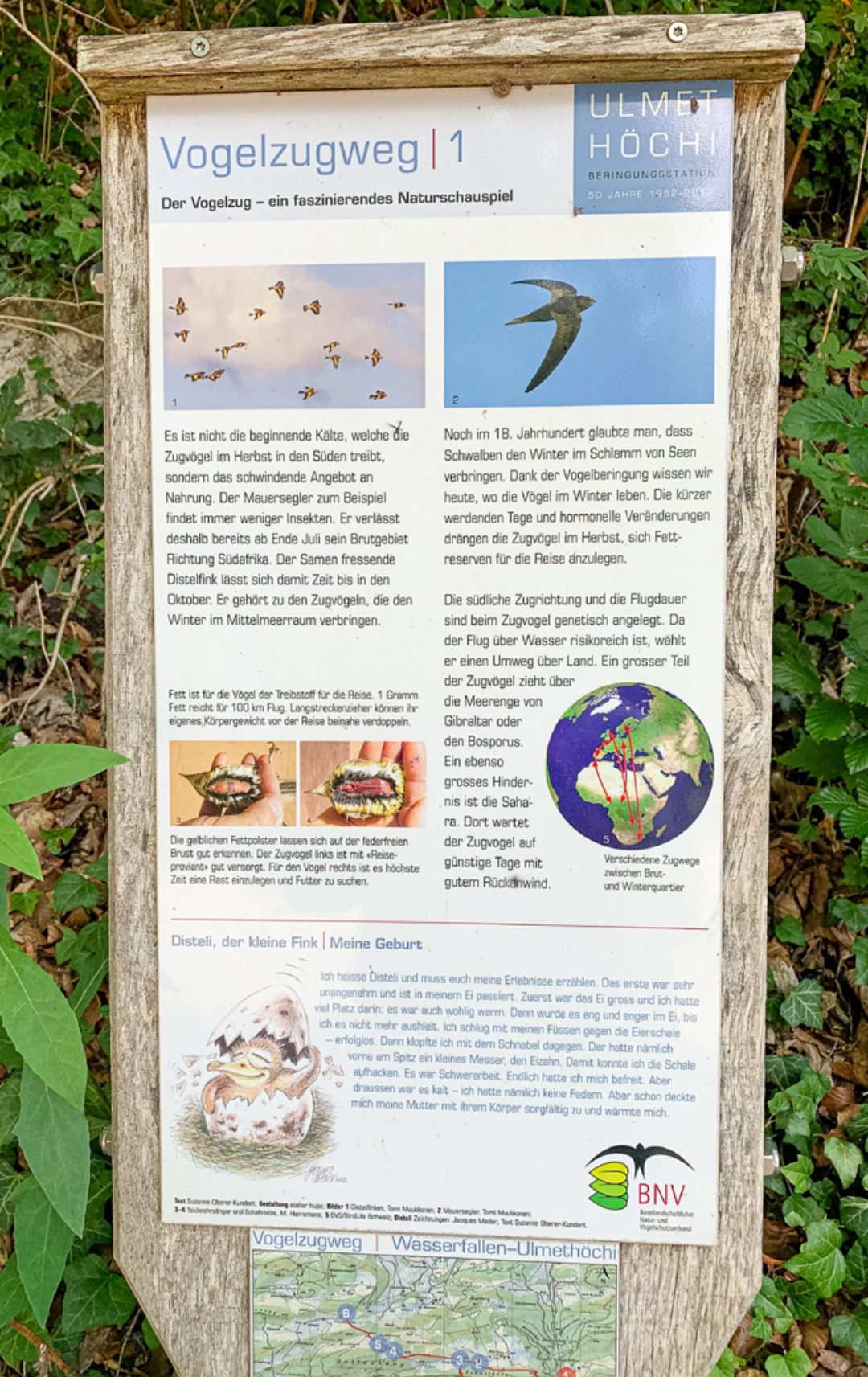 Neue Schilder sorgen für eine informative Besucherlenkung. Neue Schilder sorgen für eine informative Besucherlenkung.