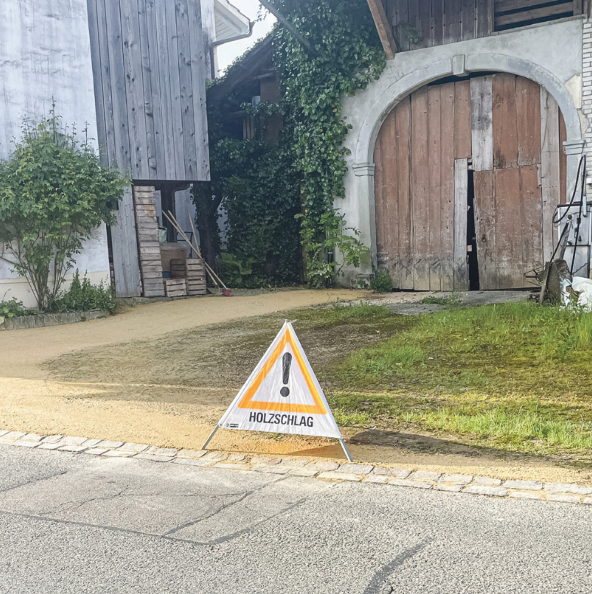 MAZZUS INTERMEZZO - Das Bild wird blockiert. – Möglicherweise durch einen aktiven Adblocker.