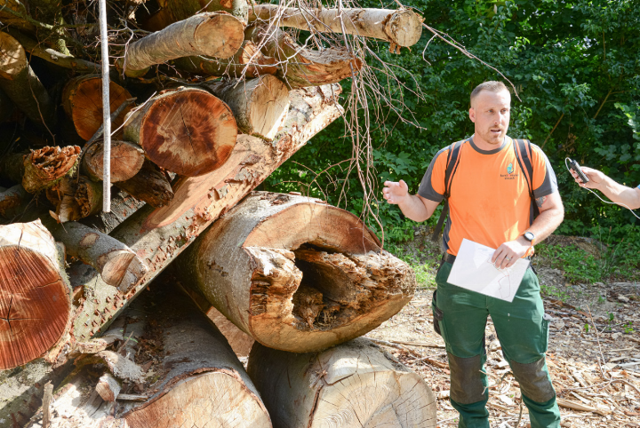 Reto Haenni vom Forstrevier Sissach zeigt auf, in welchem Zustand die gefällten Bäume waren. Bilder Christian Horisberger Reto Haenni vom Forstrevier Sissach zeigt auf, in welchem Zustand die gefällten Bäume waren. Bilder Christian Horisberger