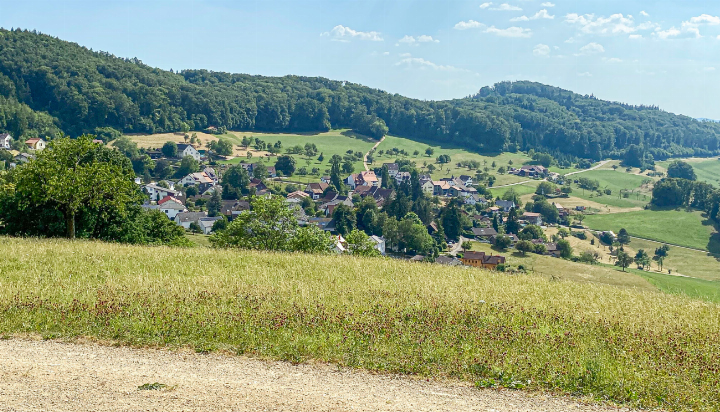 Blick auf Nusshof: Die Melioration soll das stark parzellierte Kulturland in der 291-Einwohner-Gemeinde neu ordnen. Bilder Willi Wenger