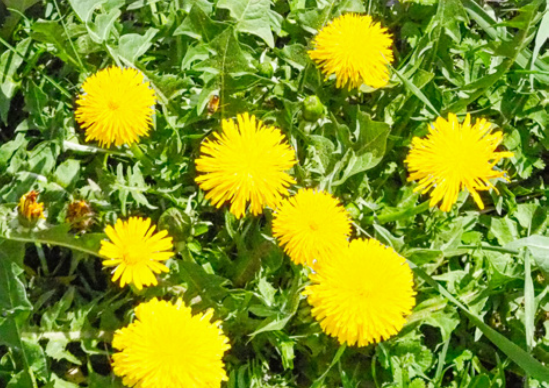 Nomen est omen - Das Bild wird blockiert. – Möglicherweise durch einen aktiven Adblocker.