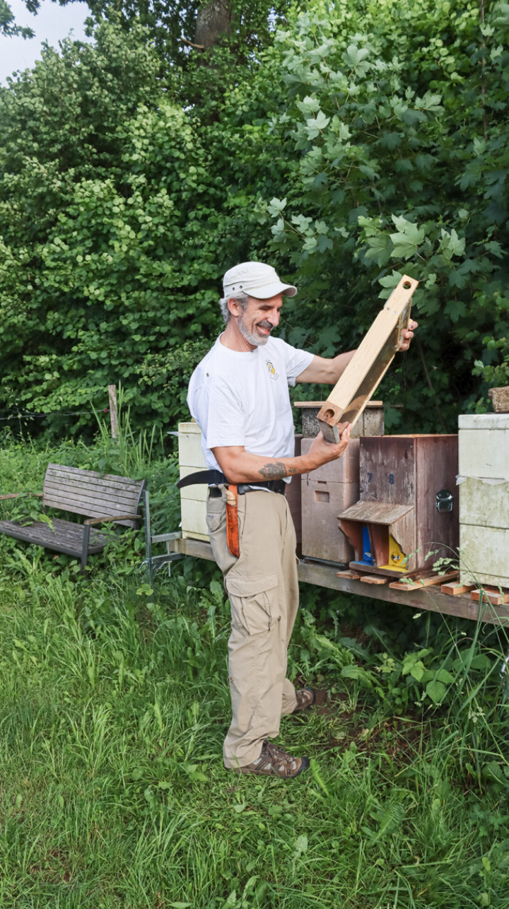 Raymond Held beim Ausmachen der Bienenkönigin.
Bilder Brigitt Buser Raymond Held beim Ausmachen der Bienenkönigin.
Bilder Brigitt Buser