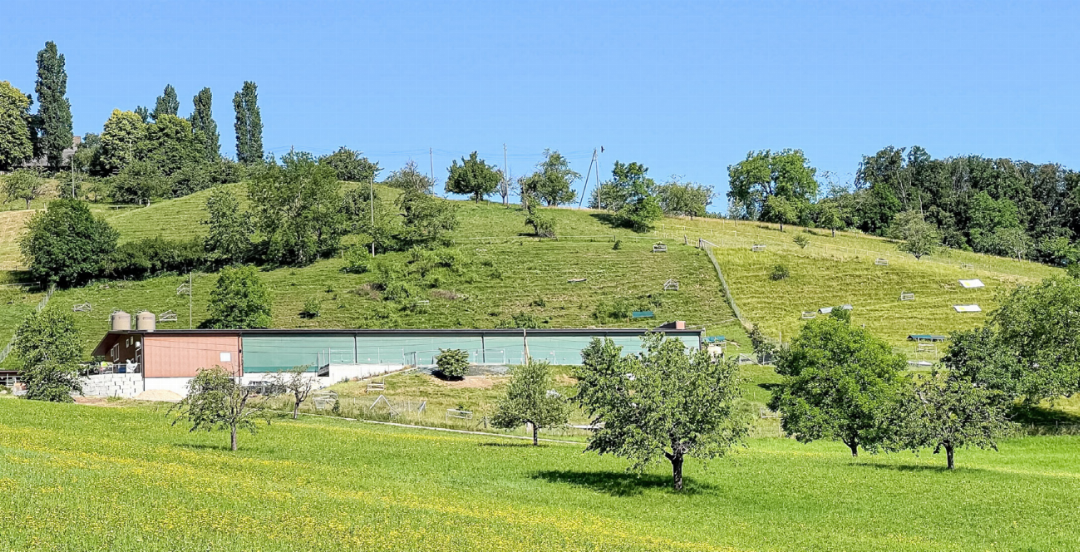 Der Geflügelhof Halde liegt oberhalb von Ziefen – hier leben 10 000 Hühner. Bilder Marianne Ingold Der Geflügelhof Halde liegt oberhalb von Ziefen – hier leben 10 000 Hühner. Bilder Marianne Ingold