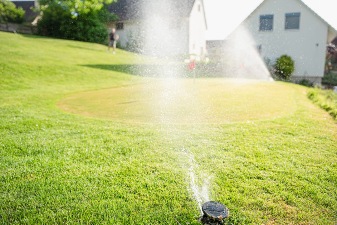 Das Grün ist nach allen Regeln der Golfplatzarchitektur angelegt, inklusive Sprinkleranlage (das Bild entstand vor der Dürreperiode). Das Grün ist nach allen Regeln der Golfplatzarchitektur angelegt, inklusive Sprinkleranlage (das Bild entstand vor der Dürreperiode).